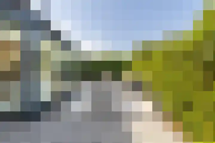 't Plankenpad 16 Landsmeer thumbnail 51