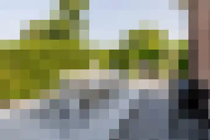 't Plankenpad 16 Landsmeer thumbnail 52