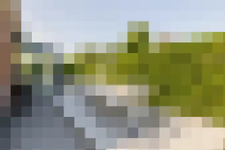 't Plankenpad 16 Landsmeer thumbnail 53