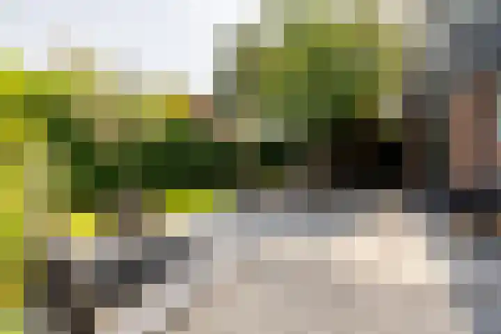 't Plankenpad 16 Landsmeer thumbnail 54