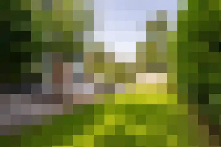 't Plankenpad 16 Landsmeer thumbnail 55