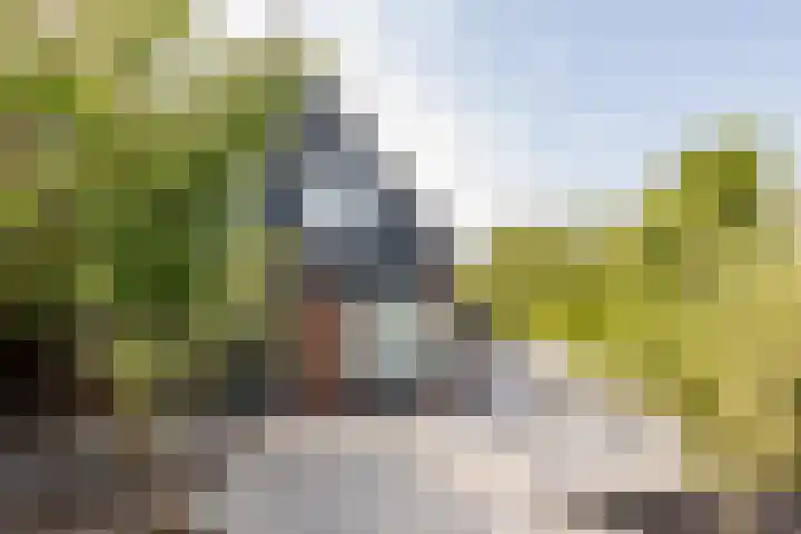 't Plankenpad 16 Landsmeer thumbnail 56