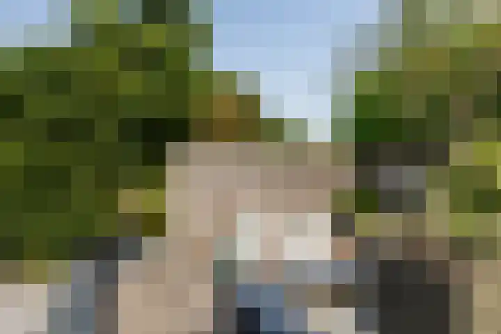 't Plankenpad 16 Landsmeer thumbnail 57