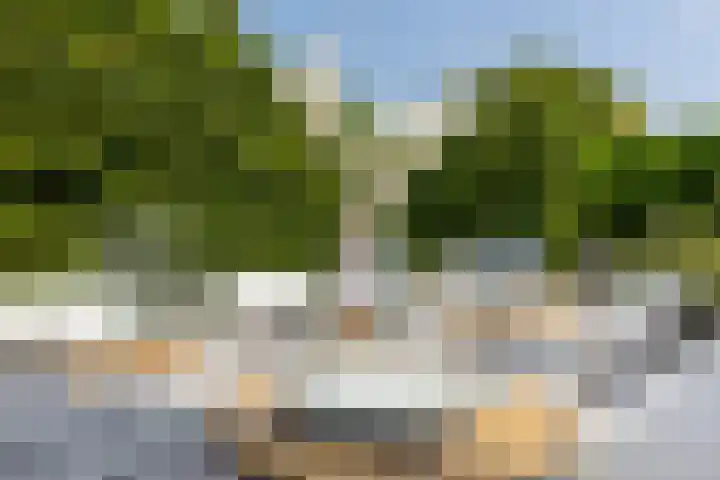 't Plankenpad 16 Landsmeer thumbnail 58