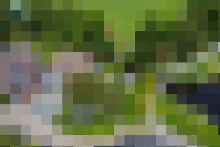 't Plankenpad 16 Landsmeer thumbnail 6
