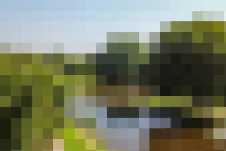 't Plankenpad 16 Landsmeer thumbnail 60