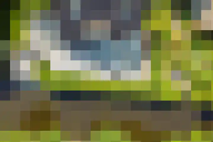 't Plankenpad 16 Landsmeer thumbnail 63
