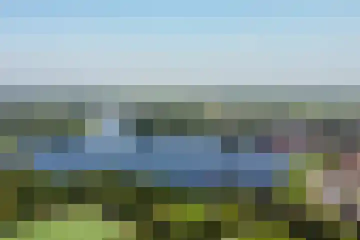 't Plankenpad 16 Landsmeer thumbnail 65
