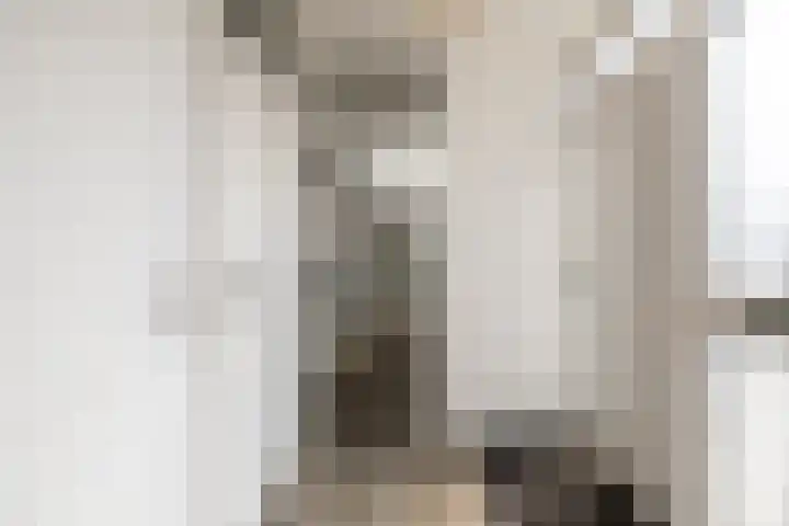 't Plankenpad 16 Landsmeer thumbnail 8