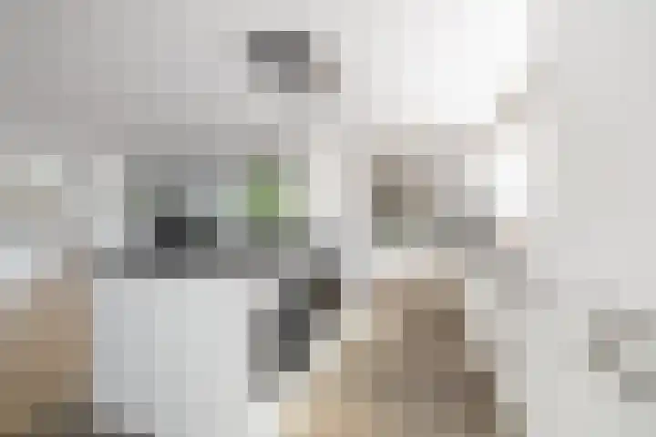 't Plankenpad 16 Landsmeer thumbnail 9
