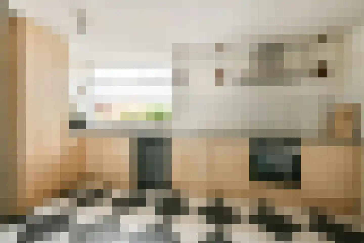 't Plankenpad 22 Landsmeer thumbnail 12
