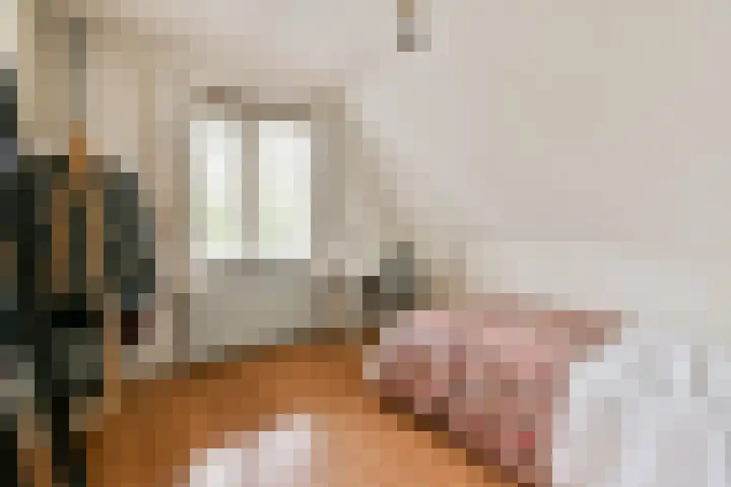 't Plankenpad 22 Landsmeer thumbnail 18