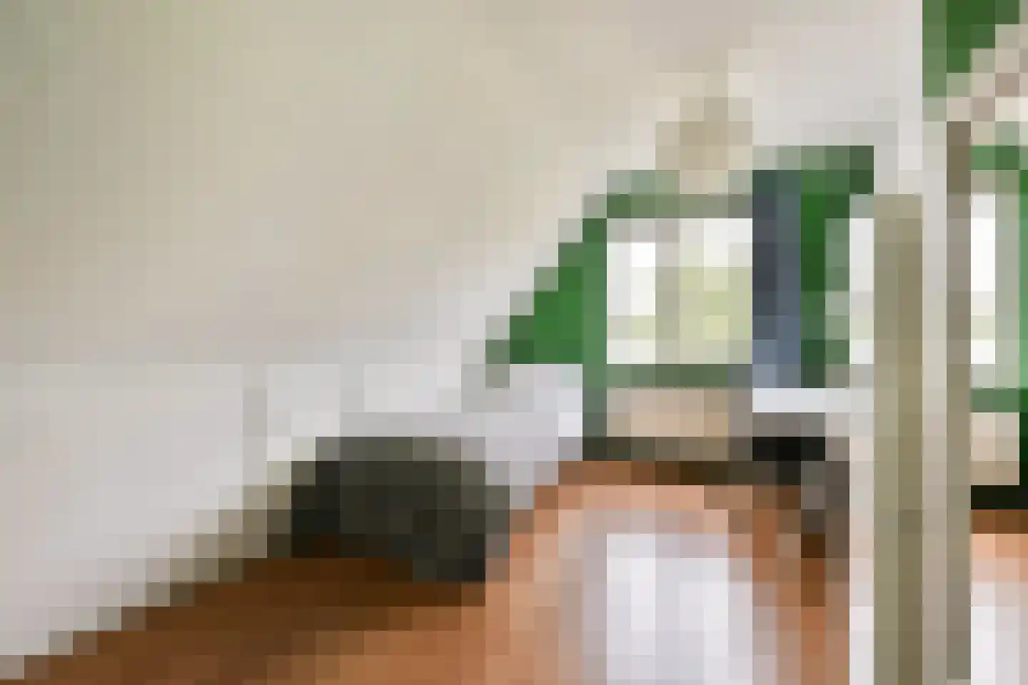 't Plankenpad 22 Landsmeer thumbnail 19
