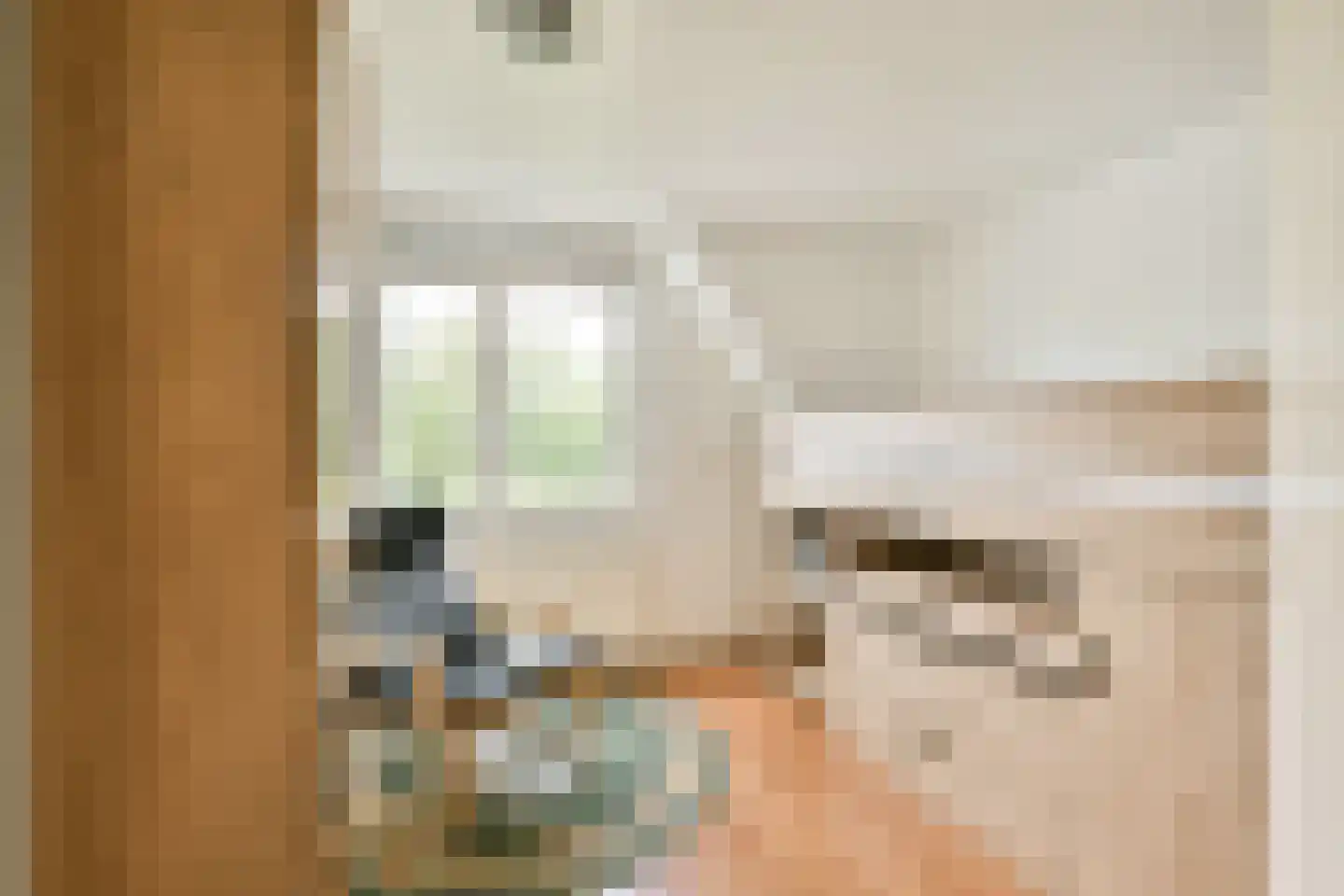 't Plankenpad 22 Landsmeer thumbnail 20