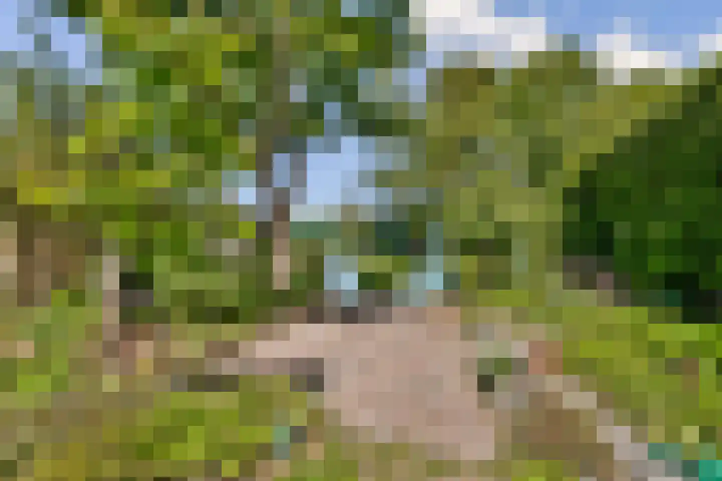't Plankenpad 22 Landsmeer thumbnail 29