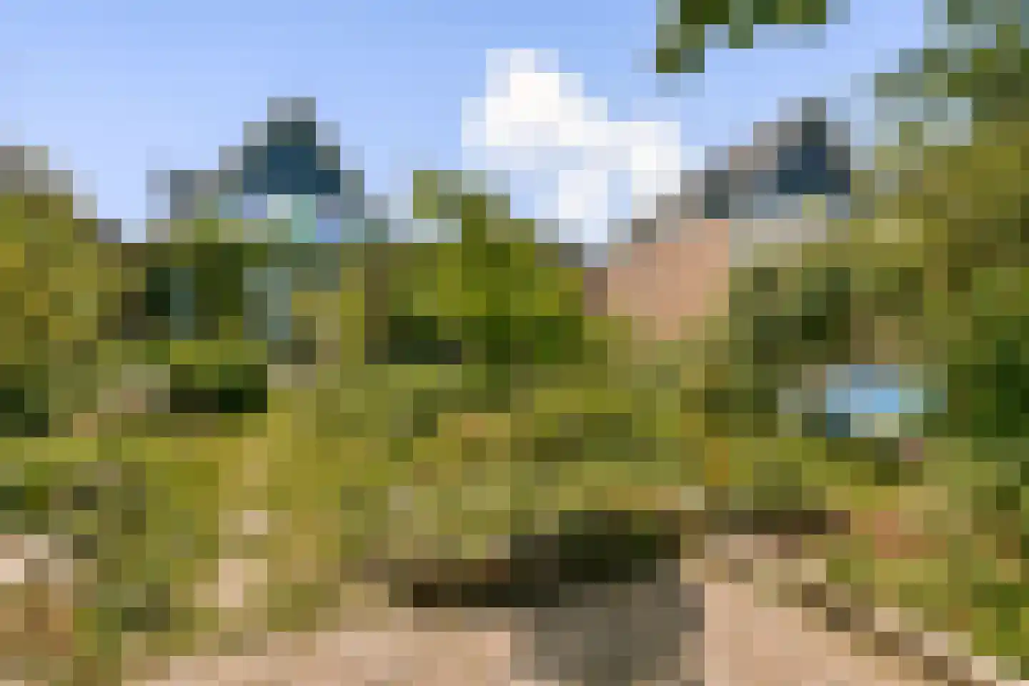 't Plankenpad 22 Landsmeer thumbnail 30