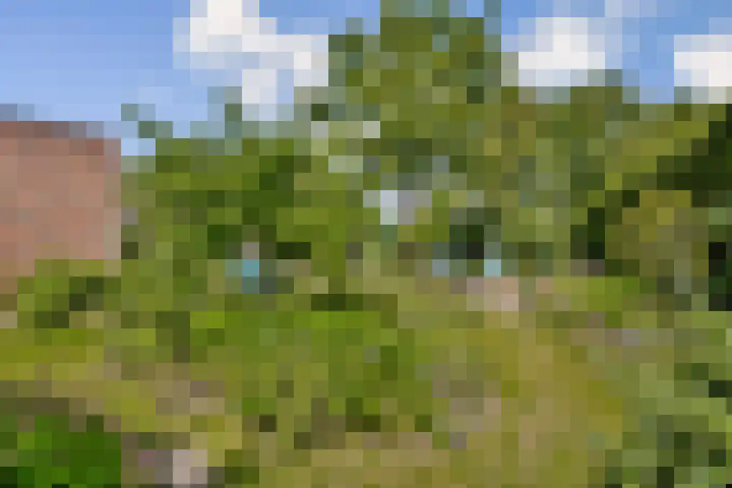 't Plankenpad 22 Landsmeer thumbnail 31