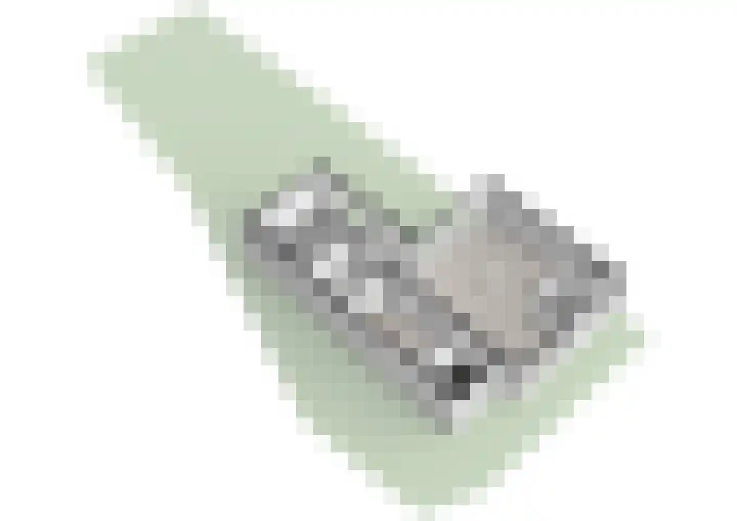 't Plankenpad 22 Landsmeer thumbnail 46