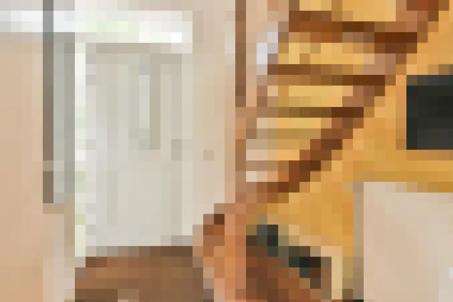 't Plankenpad 22 Landsmeer thumbnail 5