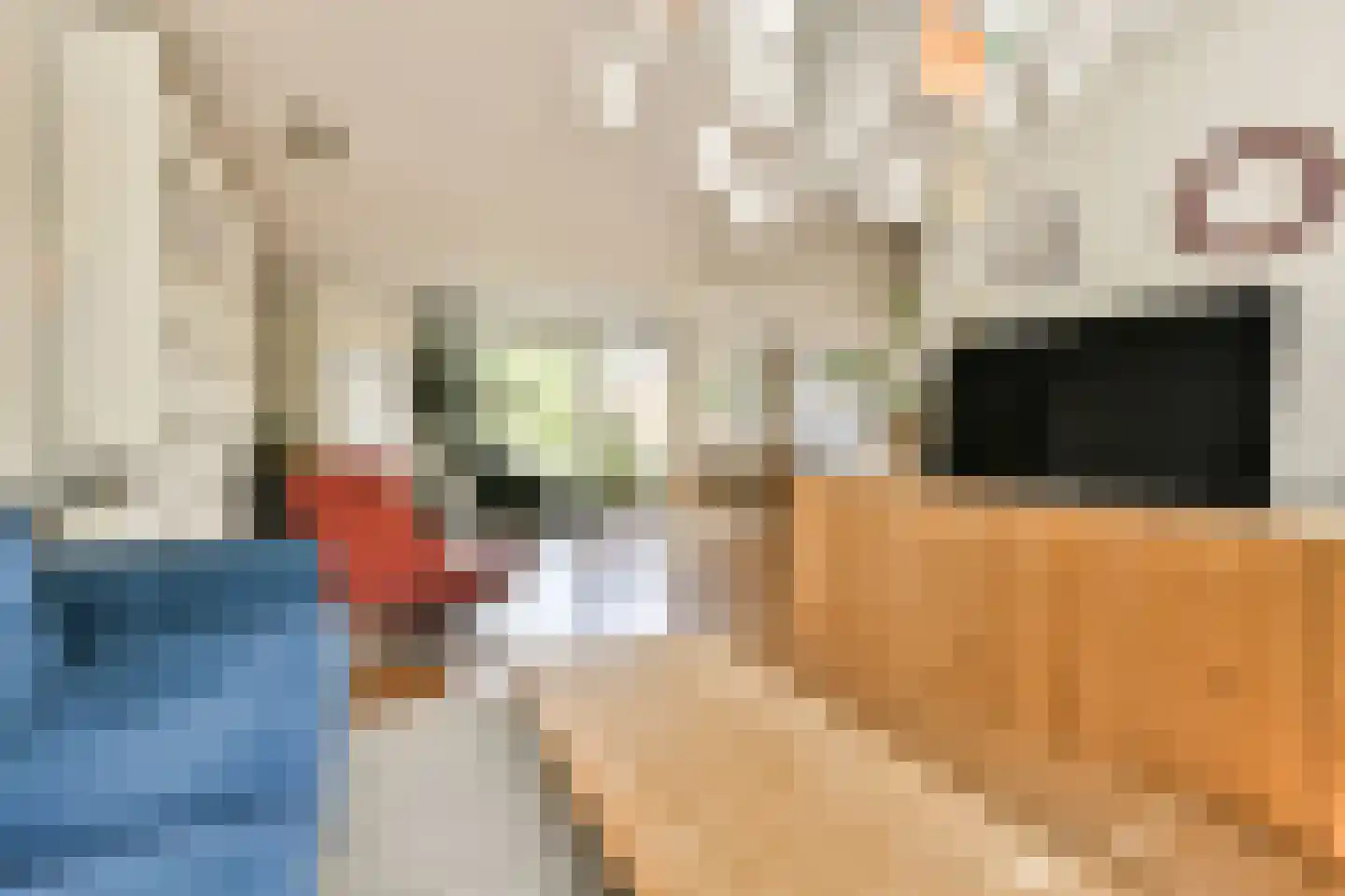 't Plankenpad 22 Landsmeer thumbnail 9