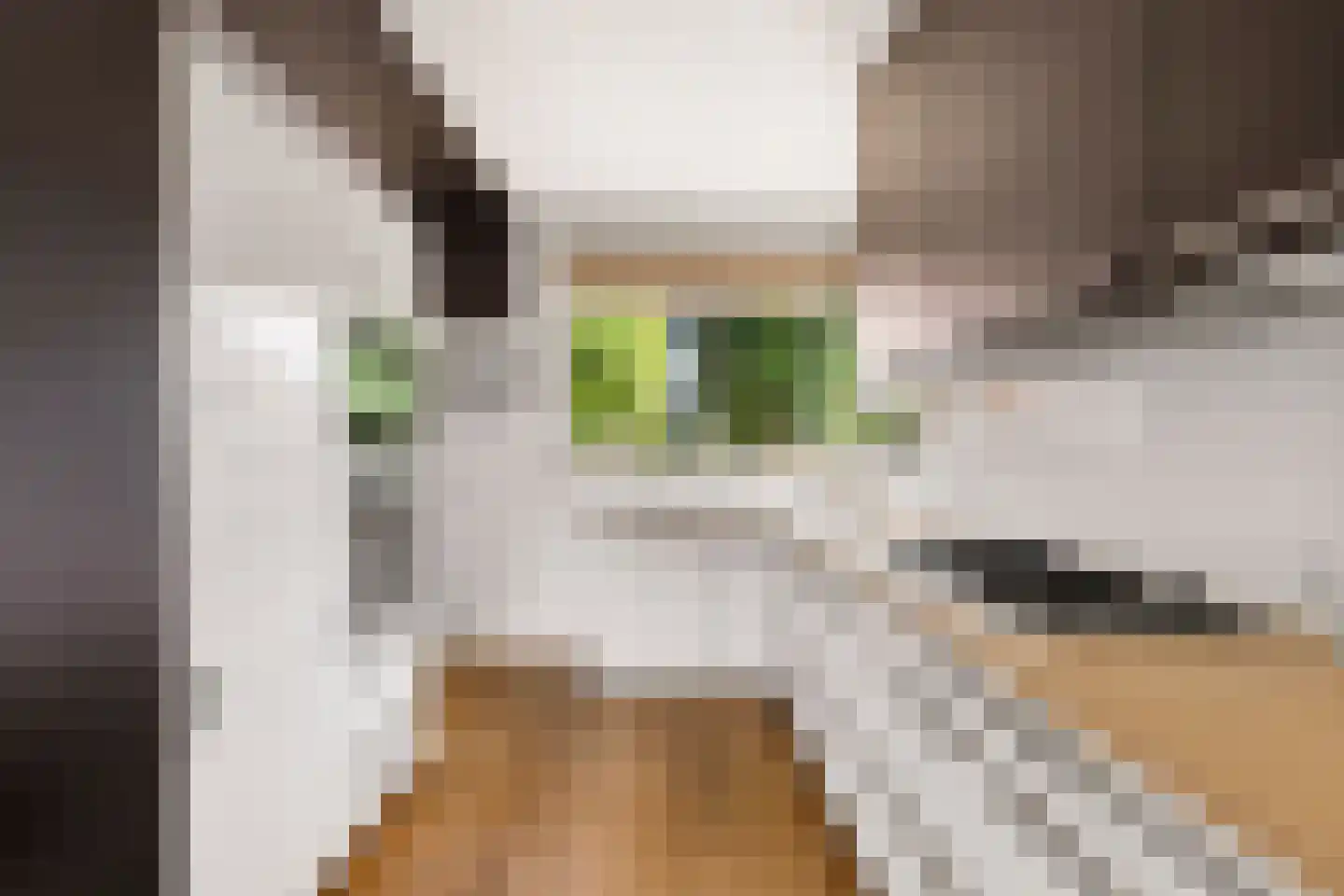 't Prieel 3 Ouderkerk aan de Amstel thumbnail 22