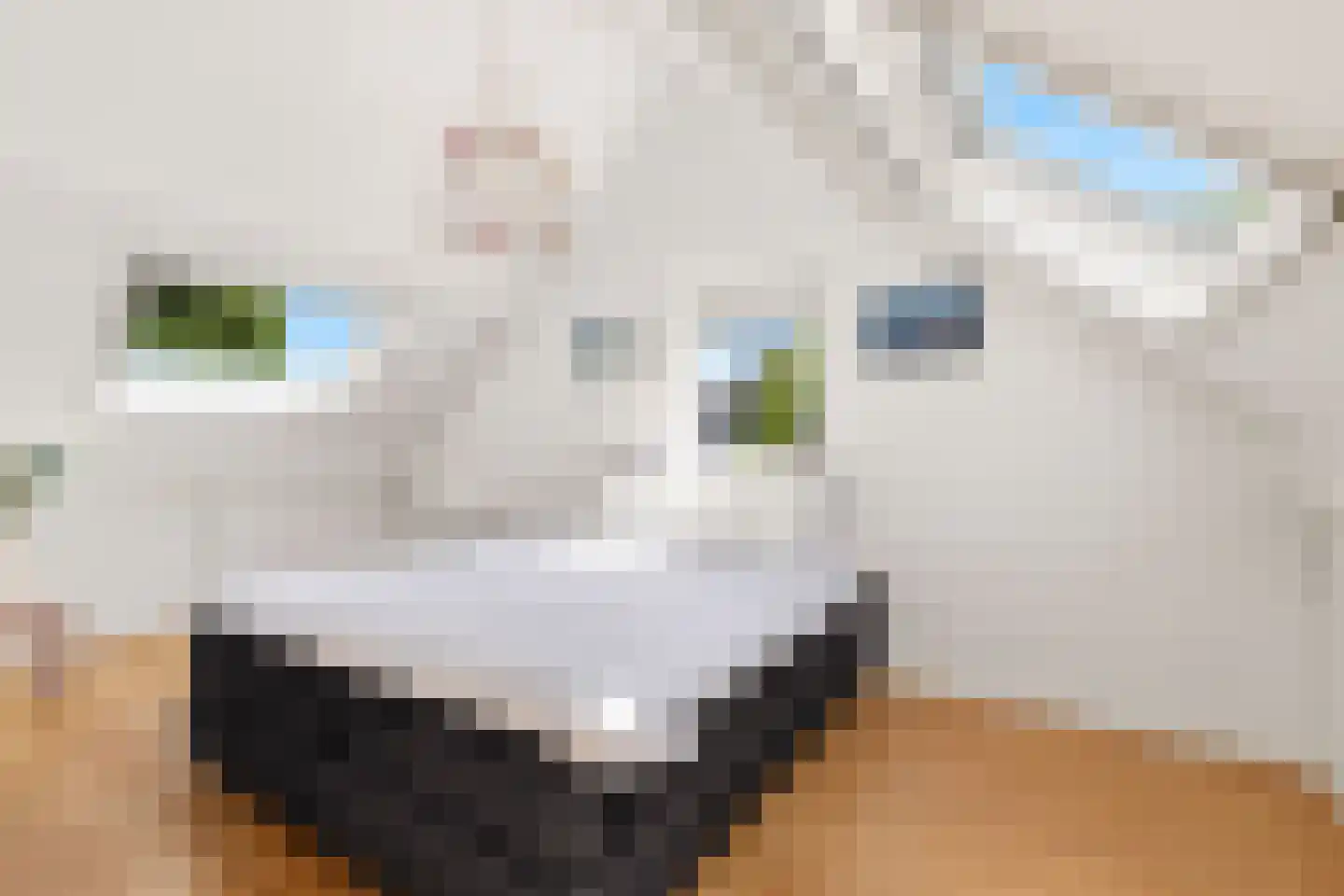 't Prieel 3 Ouderkerk aan de Amstel thumbnail 35