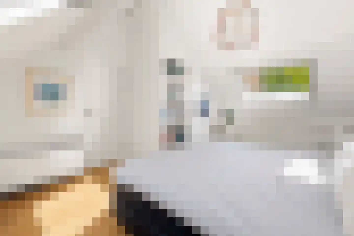 't Prieel 3 Ouderkerk aan de Amstel thumbnail 36