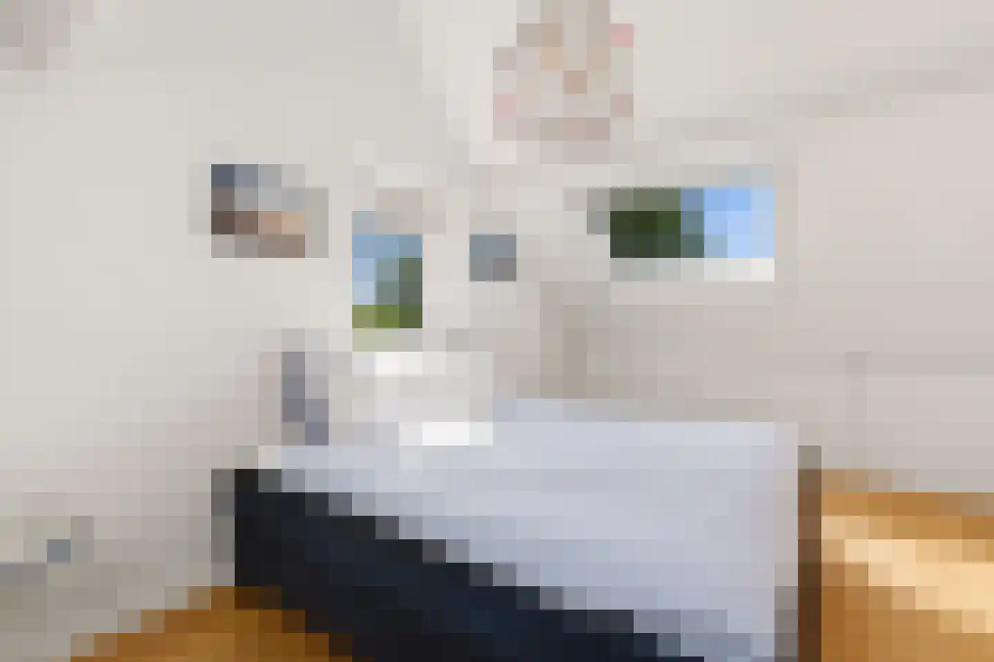 't Prieel 3 Ouderkerk aan de Amstel thumbnail 38