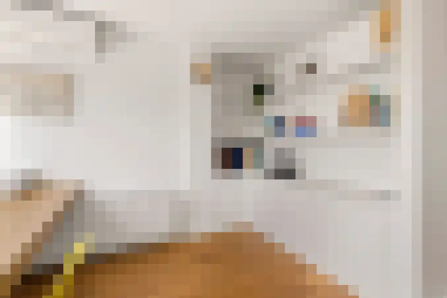 't Prieel 3 Ouderkerk aan de Amstel thumbnail 41