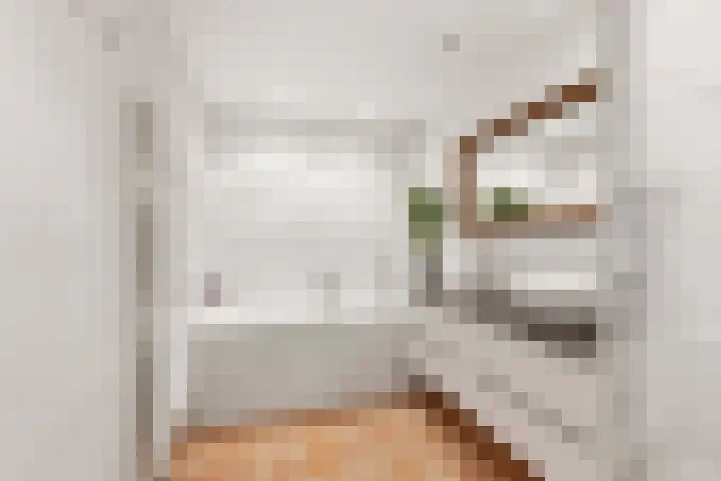 't Prieel 3 Ouderkerk aan de Amstel thumbnail 51