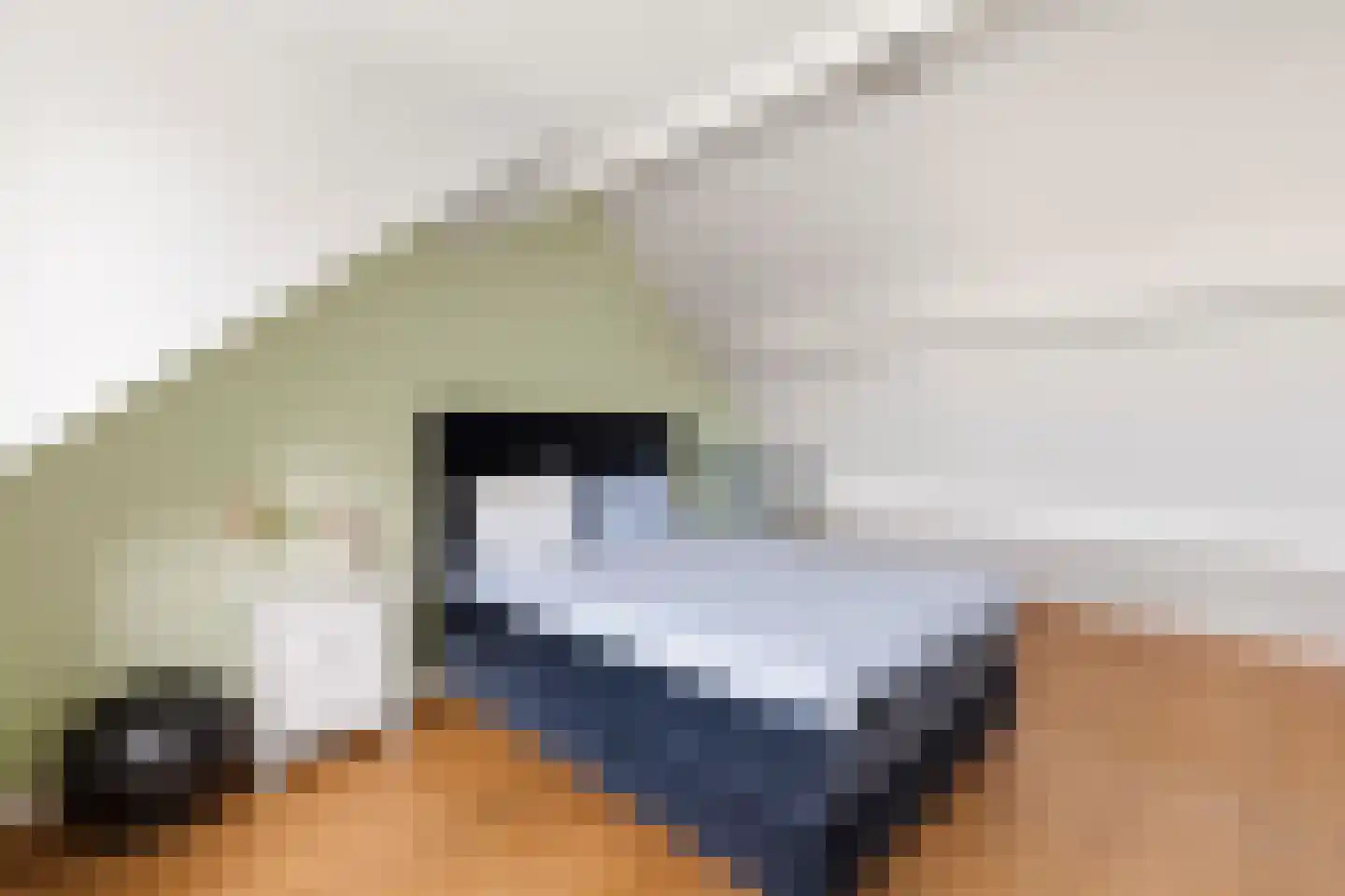 't Prieel 3 Ouderkerk aan de Amstel thumbnail 59