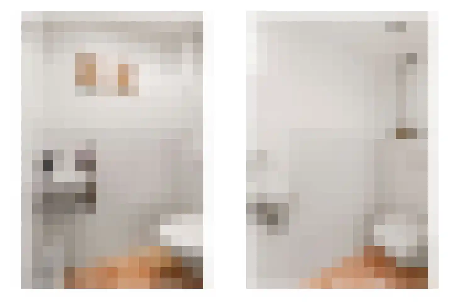 't Prieel 3 Ouderkerk aan de Amstel thumbnail 64