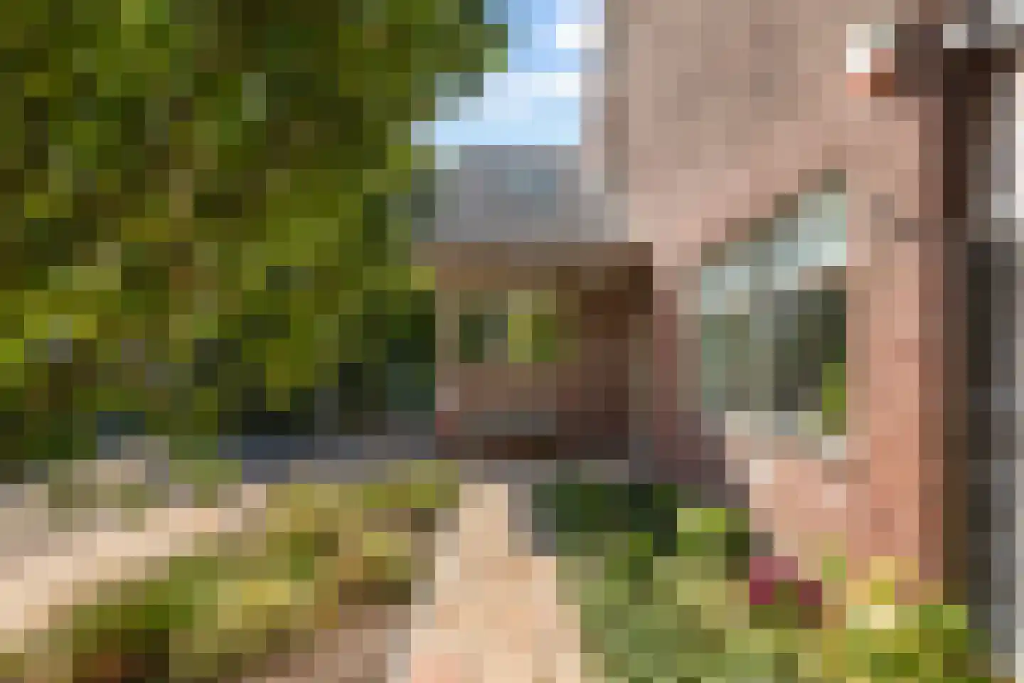 't Prieel 3 Ouderkerk aan de Amstel thumbnail 79