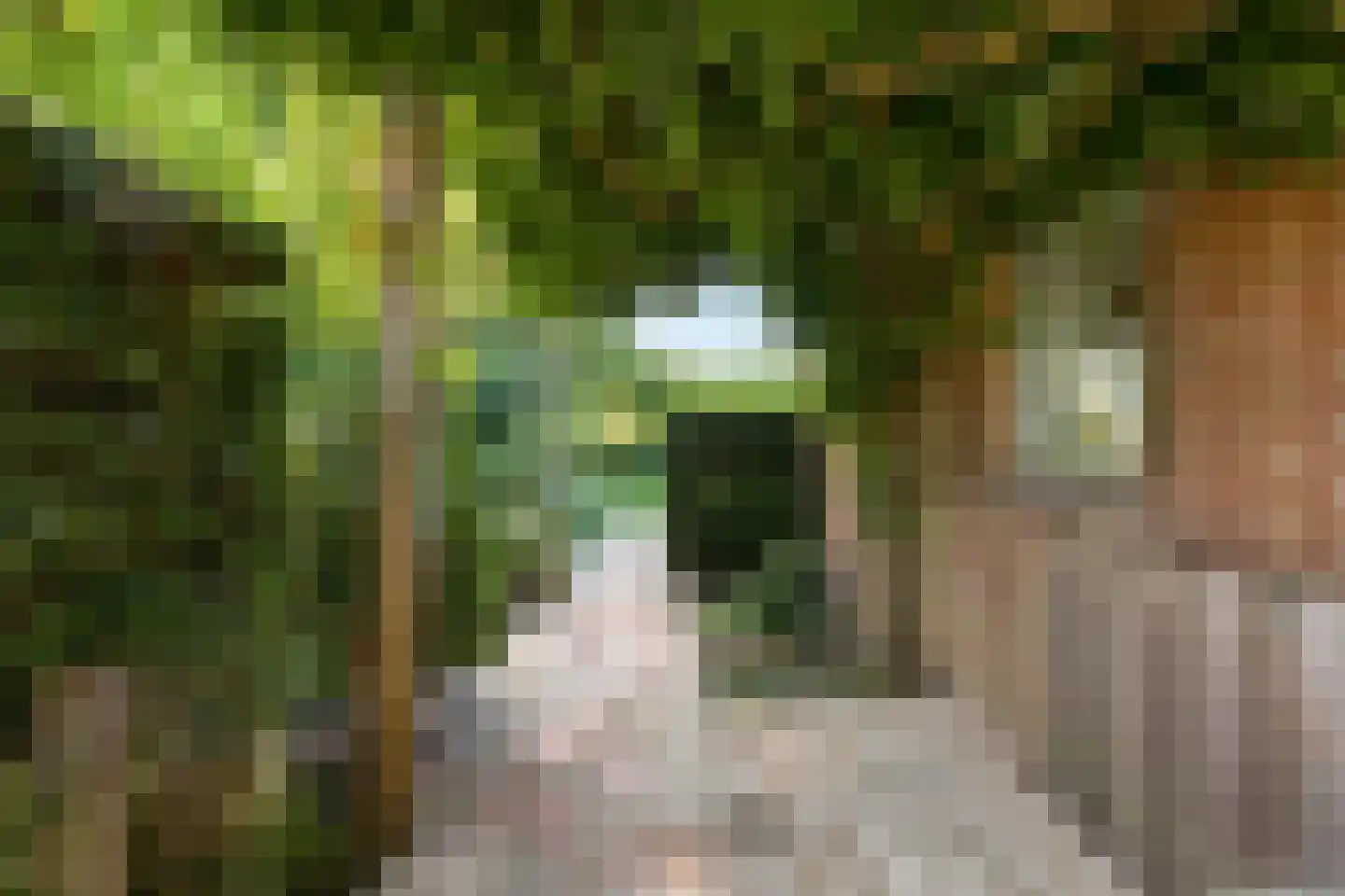 't Prieel 3 Ouderkerk aan de Amstel thumbnail 80