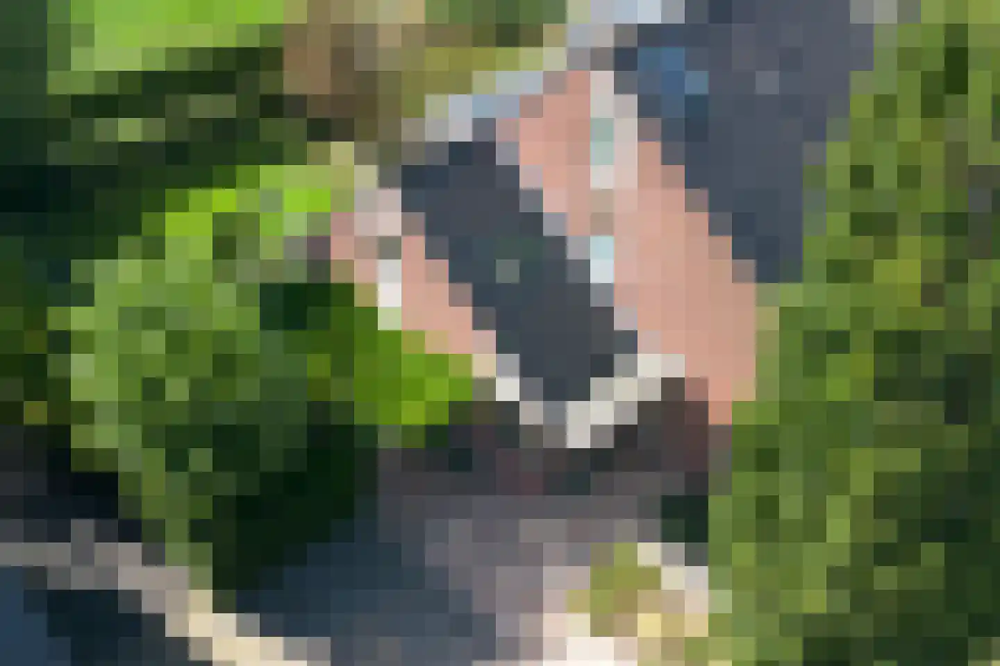 't Prieel 3 Ouderkerk aan de Amstel thumbnail 83