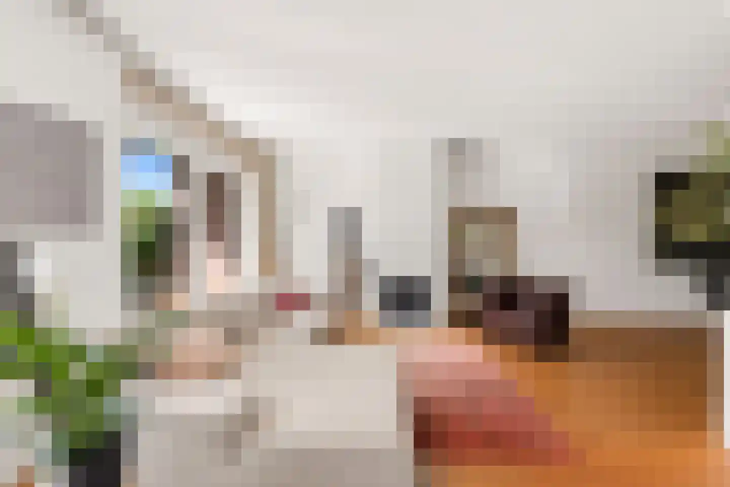 't Prieel 3 Ouderkerk aan de Amstel thumbnail 9