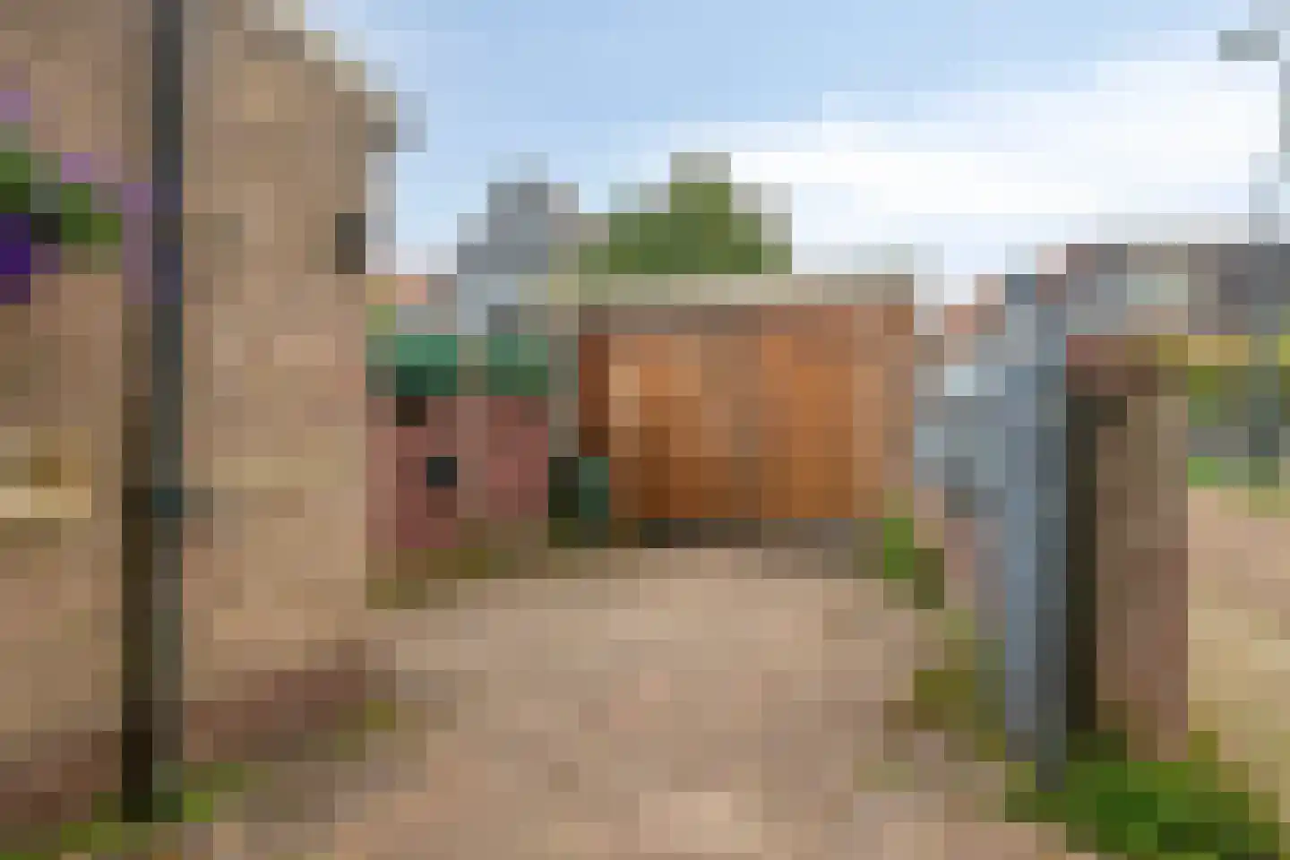 't Prooyen 13 Monnickendam thumbnail 25