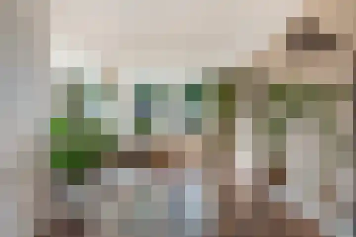 't Rak 10 Schoonebeek thumbnail 18