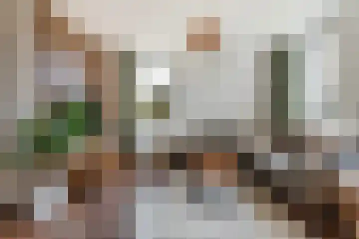't Rak 10 Schoonebeek thumbnail 19