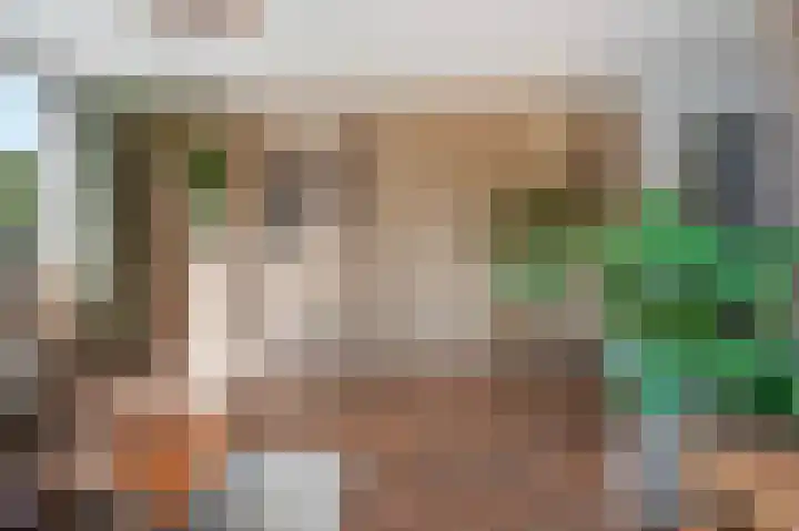 't Rak 10 Schoonebeek thumbnail 20