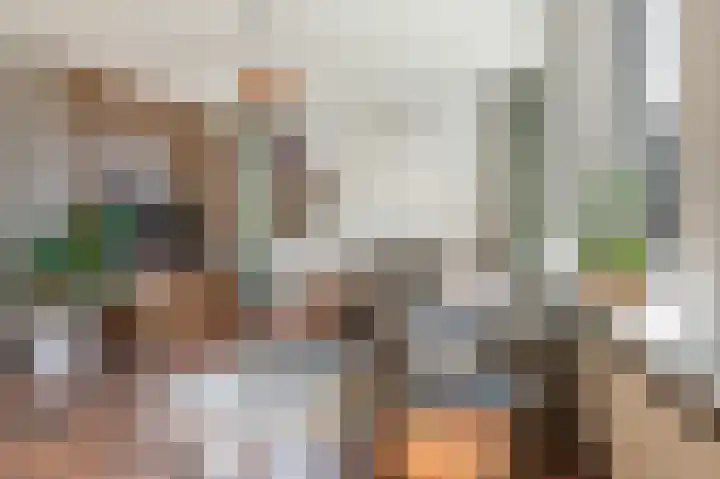 't Rak 10 Schoonebeek thumbnail 21