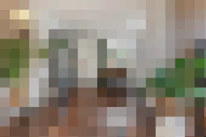 't Rak 10 Schoonebeek thumbnail 24