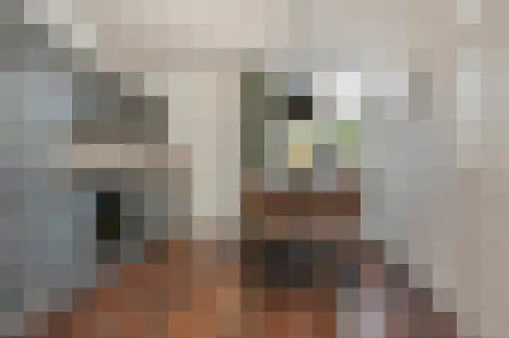 't Rak 10 Schoonebeek thumbnail 28