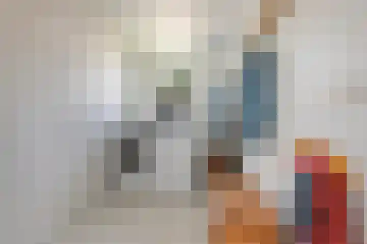 't Rak 10 Schoonebeek thumbnail 29