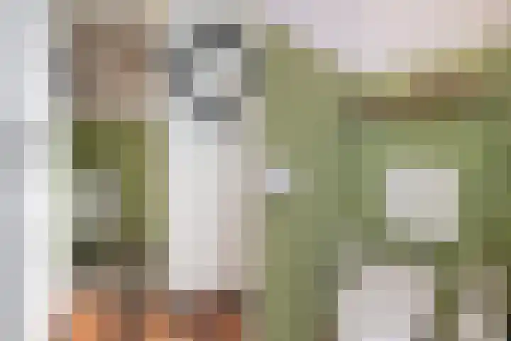 't Rak 10 Schoonebeek thumbnail 31