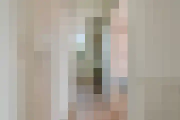 't Rak 10 Schoonebeek thumbnail 33