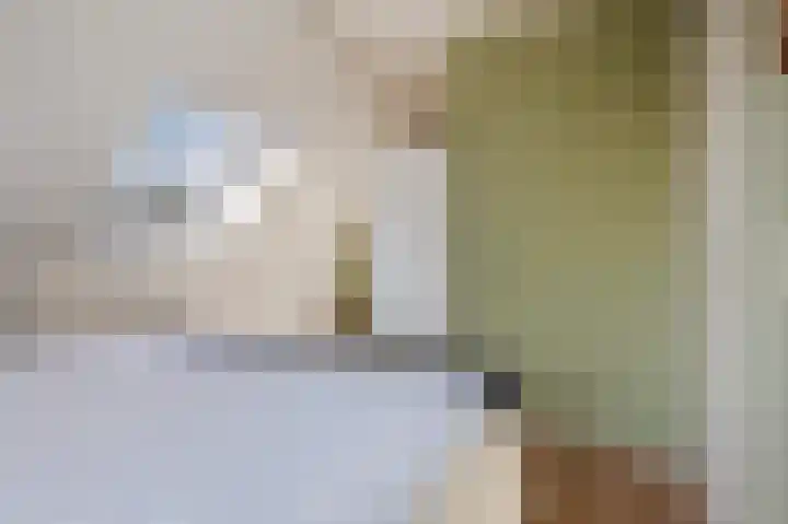 't Rak 10 Schoonebeek thumbnail 36