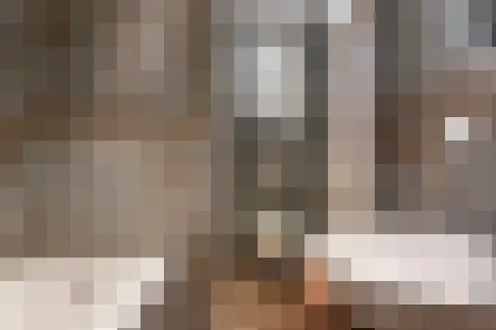 't Rak 10 Schoonebeek thumbnail 4