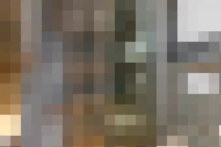 't Rak 10 Schoonebeek thumbnail 44