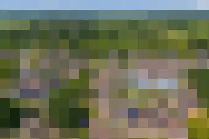 't Rak 10 Schoonebeek thumbnail 45